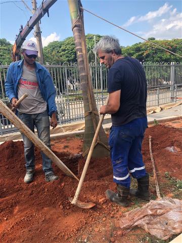 <i>Jardinagem na Comunidade Matriz    (10/12/2018)</i>